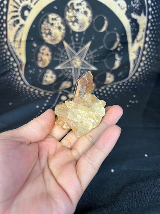 Golden Healer Cluster